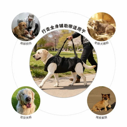Multi-Functional Breathable Pet Travel Carrier — Adjustable Shoulder Bag with Built-In Safety Strap