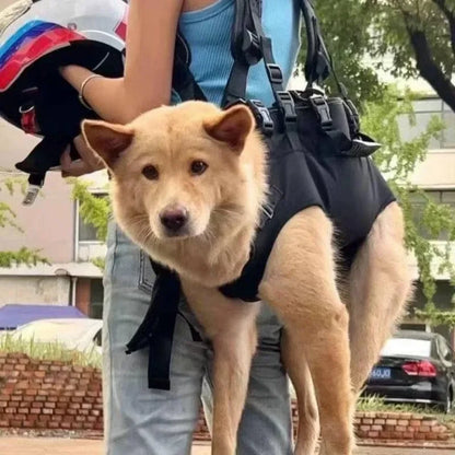 Multi-Functional Breathable Pet Travel Carrier — Adjustable Shoulder Bag with Built-In Safety Strap